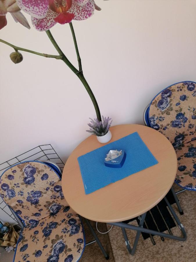 Apartman Nena Nova Varoš Exteriör bild